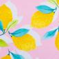 Preview: Baumwolljersey Lemon and Sun Swafing - Zitronen auf rosa