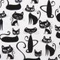 Preview: Robert Kaufman - Robin Zingone - Whiskers & Tails - Katzen in Schwarz auf Weiß - Baumwollstoff