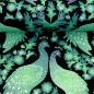 Preview: Dekostoff Swafing Peacock Wedding by Bienvenido Colorido