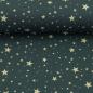 Preview: Baumwollstoff BJÖRN Swafing Sterne blau