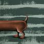 Preview: Panel French Terry Swafing Thorsten Berger - Dachshund Bemy