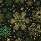Preview: Baumwollstoff JOYFUL CHRISTMAS Sterne auf Grün