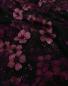Preview: Romanitjersey LITTLE FLOWER