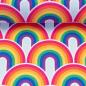 Preview: Baumwolljersey Rainbow by lycklig design - Regenbögen