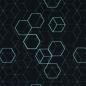 Preview: Baumwollstoff Hitech Hexagons mint auf schwarz