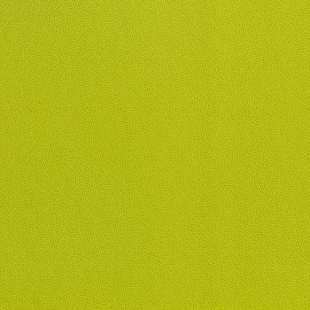 Baumwolle Webware DOTTY von Swafing kiwigrün