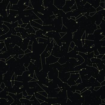 Baumwolljersey Swafing ASTRA by Käselotti schwarz