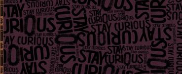 French Swafing  Stay Curious by Thorsten Berger - Kombistoff Schrift