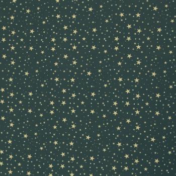 Baumwollstoff BJÖRN Swafing Sterne blau