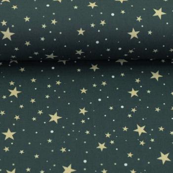 Baumwollstoff BJÖRN Swafing Sterne blau