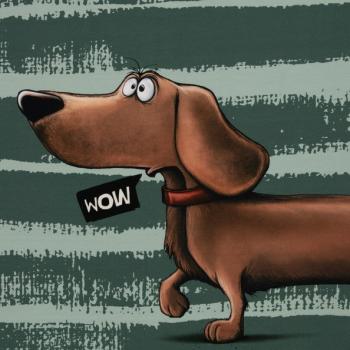 Panel French Terry Swafing Thorsten Berger - Dachshund Bemy
