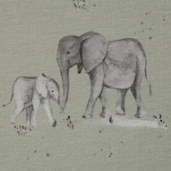 Baumwolljersey Wild Animals by Christiane Zielinski - Elefanten