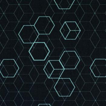 Baumwollstoff Hitech Hexagons mint auf schwarz