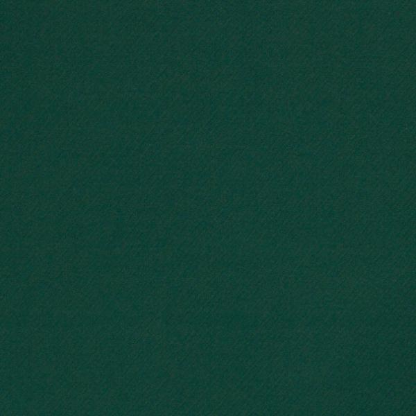 Jacquardjersey Sarina mit diagonalen Streifen - Flaschengrün