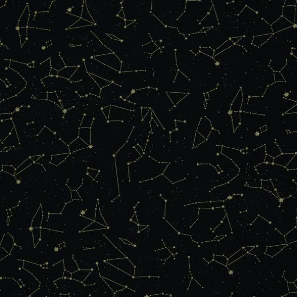 Baumwolljersey Swafing ASTRA by Käselotti schwarz