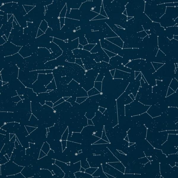 Baumwolljersey Swafing ASTRA by Käselotti blau