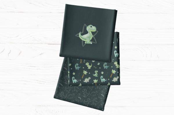 Jersey Panel - Little Legend by Mrs. Mint grau - Kombistoff bunte Dinos