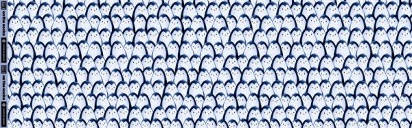 Sweat ON THE ROCKS -Swafing Pinguine