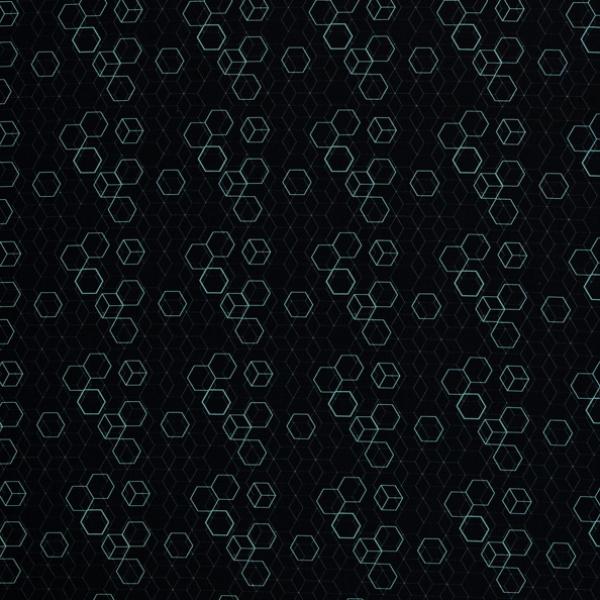 Baumwollstoff Hitech Hexagons mint auf schwarz