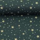 Baumwollstoff BJÖRN Swafing Sterne blau
