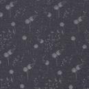 Alpenfleece LEAH Swafing Pusteblumen auf rauchblau