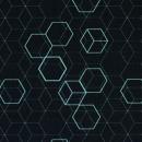 Baumwollstoff Hitech Hexagons mint auf schwarz